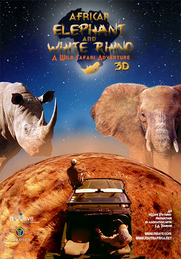 The African Elephant & the White Rhino
