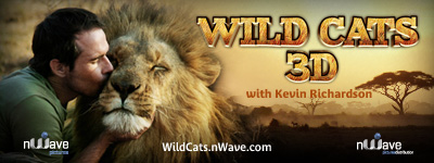 nWave Wild Cats 3D Email Signature