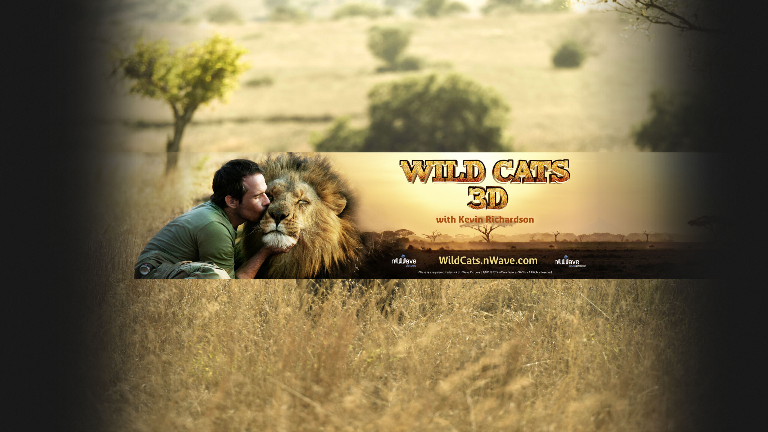 Wild Cats 3D YouTube Cover